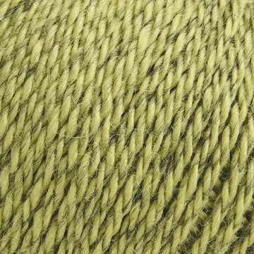 Moss (10050)