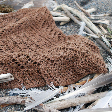 Aerie Shawlette