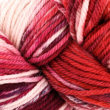 Roses (1010)