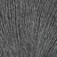 Fog (3468)