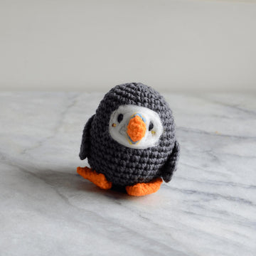 Pocket Sized Puffin