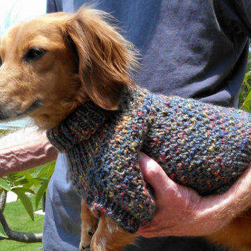 Lena's Cozy Brioche Miniature Dachshund Dog Sweater