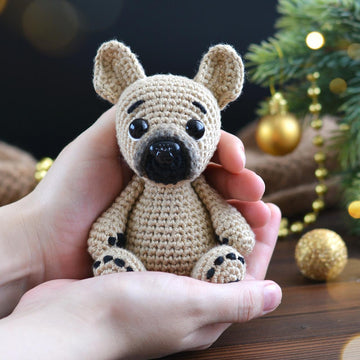 French bulldog