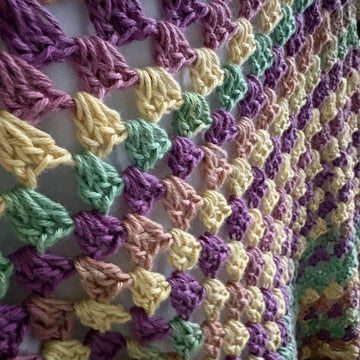 Carolina Crochet Top