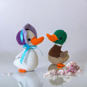 Bonnet Duck and mallard duck