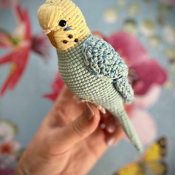 Pearl the Budgie