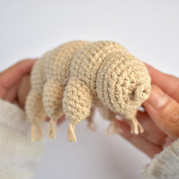 Tardigrade (Water bear)