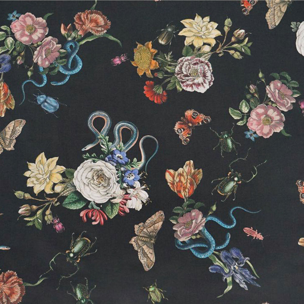 Lady McElroy Cotton Marlie-Care Lawn - Cobra Corsage - Noir