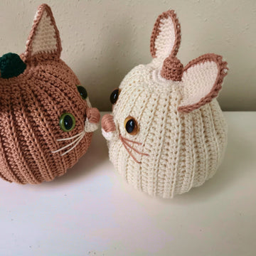 Pumpkin Pals Cat