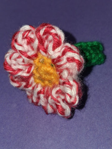 Baby Dragon’s Spring Flower
