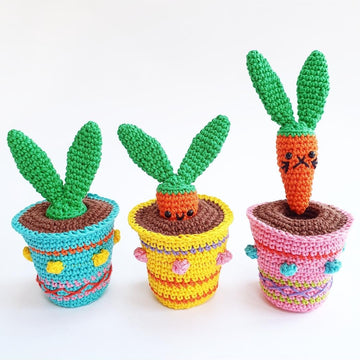 Mr Carrot Tops