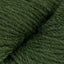 Forest (1039)