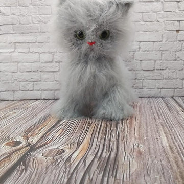 Gray Cat