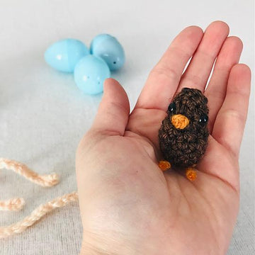 Spring Robin Bird Set