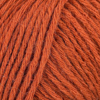 Pumpkin (012)