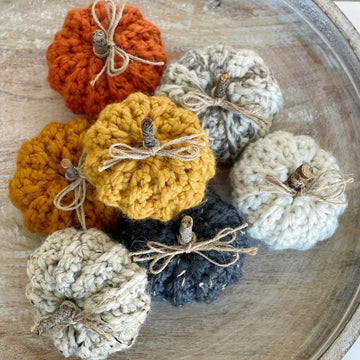 Mini Ribbed Pumpkins 086