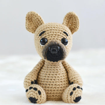 French bulldog