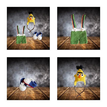 Sesame Street Bert Outfit