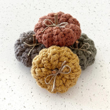Mini Ribbed Pumpkins 086