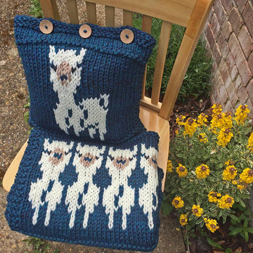 Alpacas on a Blanket