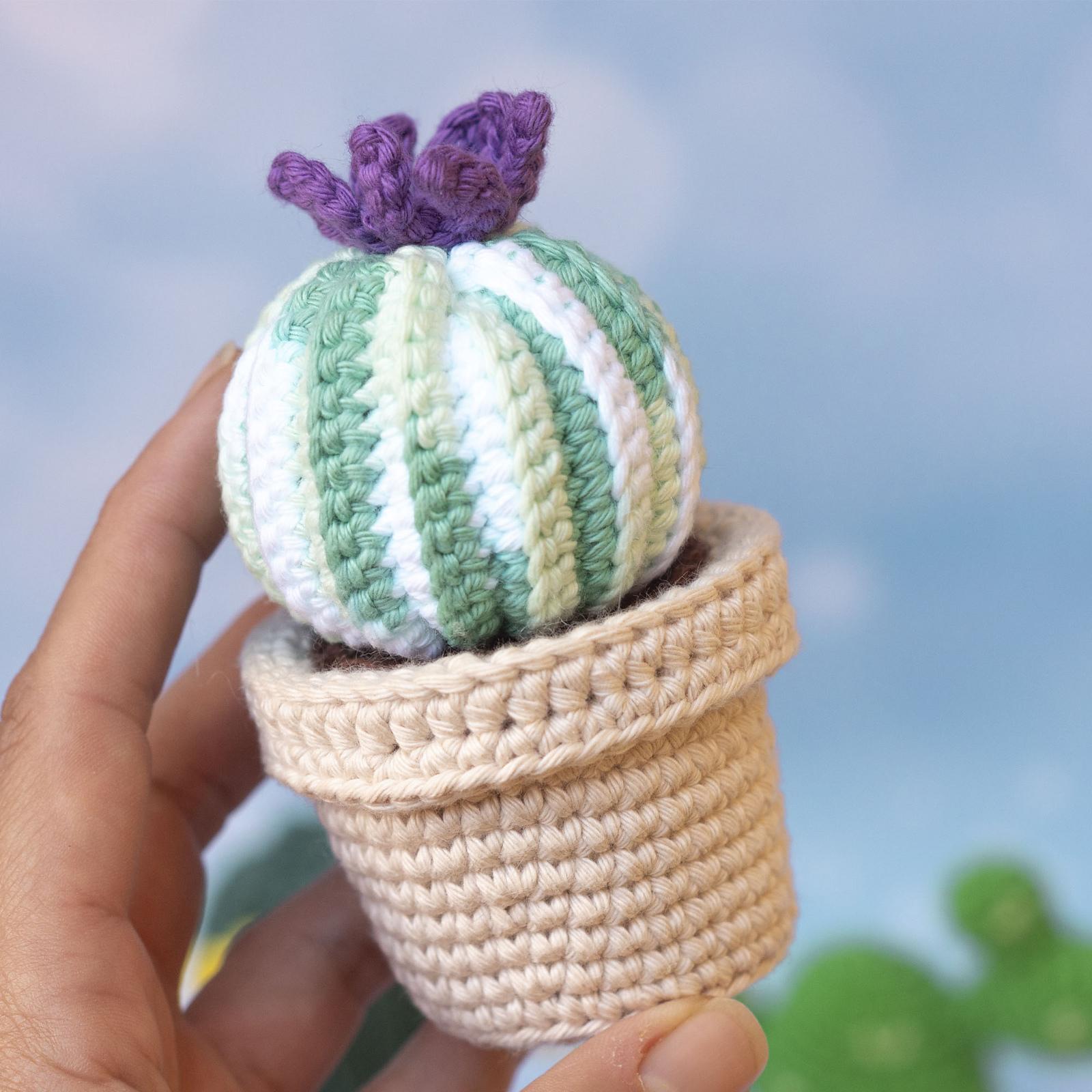 Cactus Bundle
