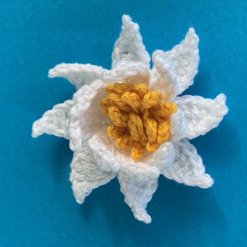 Water Lily