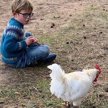 The Chicken Tamer